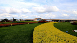 tongren fenghuang airport landscaping