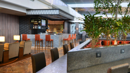 plaza premium domestic lounge terminal 3 delhi international airport