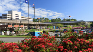 norfolk international airport landscaping