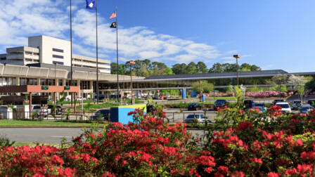 norfolk international airport landscaping